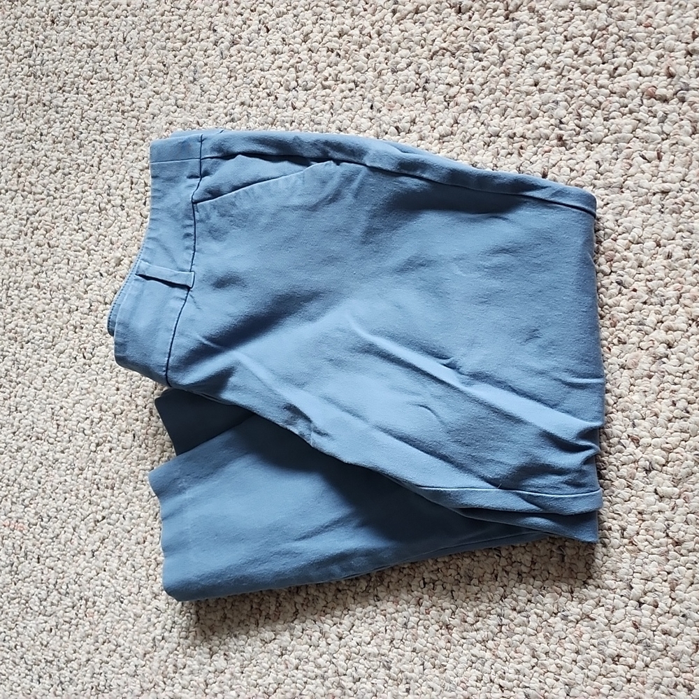 Loft Ankle Pants